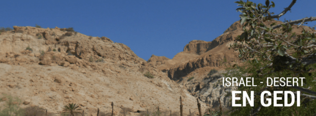 Israel landscapes - En Gedi